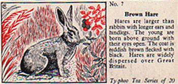 1957 Ty-Phoo Tea Some Countryside Animals #7 Brown Hare Front