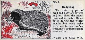1957 Ty-Phoo Tea Some Countryside Animals #8 Hedgehog Front