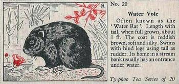 1957 Ty-Phoo Tea Some Countryside Animals #20 Water Vole Front