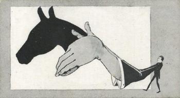 1925 Morris's Shadowgraphs #3 Horse Front