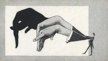 1925 Morris's Shadowgraphs #17 Elephant Front