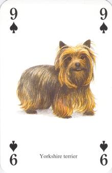 2000 Heritage The Famous Chiens de Monde #9♠ Yorkshire Terrier Front