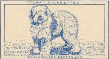 1952 Turf Famous Dogs Breeds #2 Old English Sheepdog Front