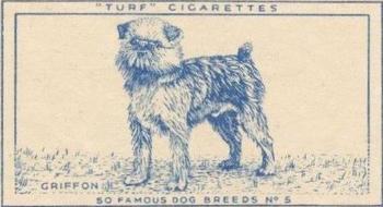 1952 Turf Famous Dogs Breeds #5 Griffon Front