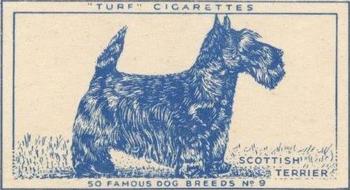 1952 Turf Famous Dogs Breeds #9 Scottish Terrier Front