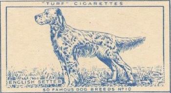 1952 Turf Famous Dogs Breeds #10 English Setter Front