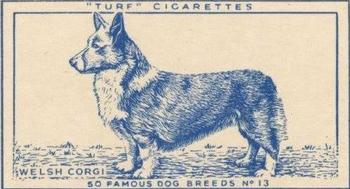 1952 Turf Famous Dogs Breeds #13 Welsh Corgi Front