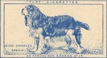 1952 Turf Famous Dogs Breeds #14 King Charles Spaniel Front