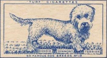 1952 Turf Famous Dogs Breeds #19 Dandie Dinmont Terrier Front