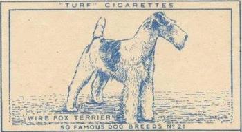 1952 Turf Famous Dogs Breeds #21 Wire Fox Terrier Front