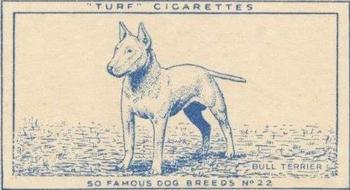 1952 Turf Famous Dogs Breeds #22 Bull Terrier Front