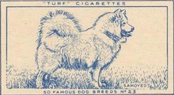 1952 Turf Famous Dogs Breeds #23 Samoyed Front