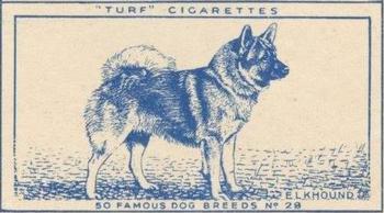 1952 Turf Famous Dogs Breeds #28 Elkhound Front