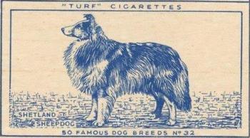 1952 Turf Famous Dogs Breeds #32 Shetland Sheepdog Front