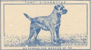 1952 Turf Famous Dogs Breeds #33 Border Terrier Front