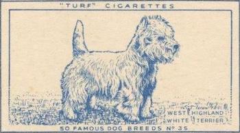 1952 Turf Famous Dogs Breeds #35 West Highlands White Terrier Front