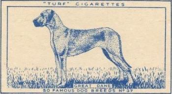 1952 Turf Famous Dogs Breeds #37 Great Dane Front