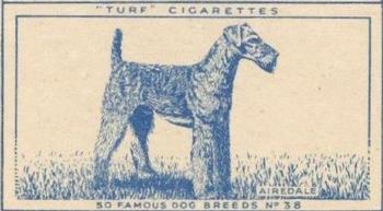 1952 Turf Famous Dogs Breeds #38 Airedale Front