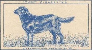 1952 Turf Famous Dogs Breeds #39 Retriever (Flat Coated) Front