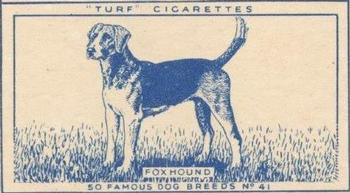 1952 Turf Famous Dogs Breeds #41 Foxhound Front