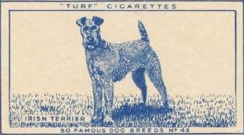 1952 Turf Famous Dogs Breeds #42 Irish Terrier Front