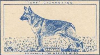 1952 Turf Famous Dogs Breeds #43 Alsatian Front