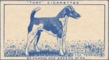 1952 Turf Famous Dogs Breeds #44 Smooth Fox Terrier Front