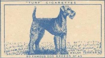 1952 Turf Famous Dogs Breeds #45 Welsh Terrier Front