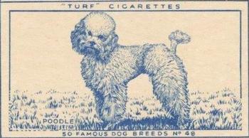 1952 Turf Famous Dogs Breeds #48 Poodle Front