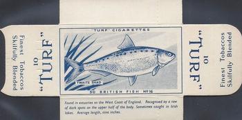 1954 Turf British Fish - Uncut Singles #16 Twaite Shad Front