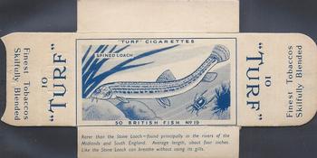 1954 Turf British Fish - Uncut Singles #19 Spined Loach Front