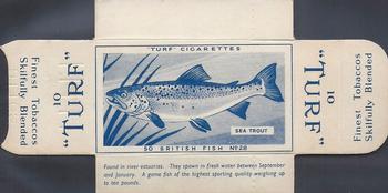 1954 Turf British Fish - Uncut Singles #28 Sea Trout Front