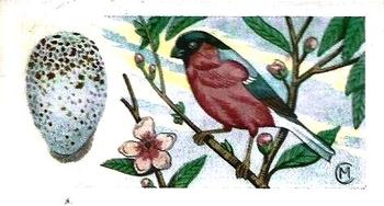 1960 Harden Doctor Ceylon Tea British Birds and Their Eggs #9 Bullfinch Front