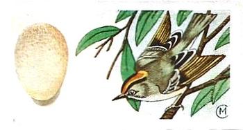 1960 Harden Doctor Ceylon Tea British Birds and Their Eggs #12 Goldcrest Front