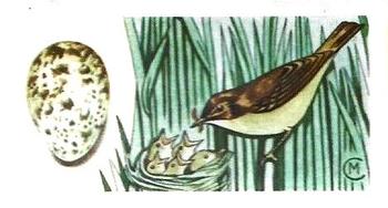 1960 Harden Doctor Ceylon Tea British Birds and Their Eggs #17 Reed Warbler Front