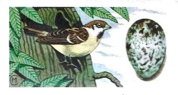 1960 Harden Doctor Ceylon Tea British Birds and Their Eggs #18 Tree Sparrow Front