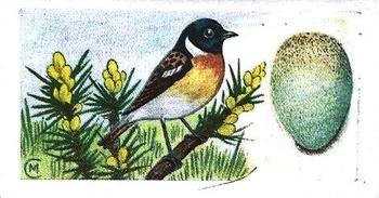1960 Harden Doctor Ceylon Tea British Birds and Their Eggs #25 Stone Chat Front