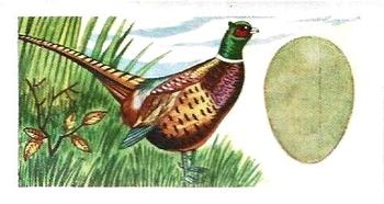 1960 Harden Doctor Ceylon Tea British Birds and Their Eggs #38 Pheasant Front