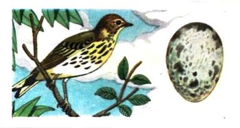 1960 Harden Doctor Ceylon Tea British Birds and Their Eggs #48 Tree Pipit Front