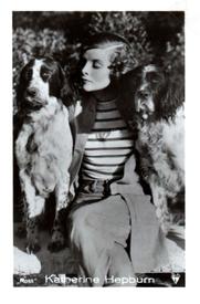1933-43 Ross Verlag Mäppchenbilder - Katharine Hepburn #NNO Katharine Hepburn Front