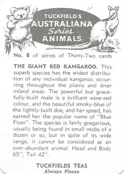 1963 Tuckfields Tea Australiana Series; Animals #8a The Giant Red Kangaroo Back