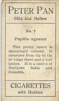 1910 Australian Butterflies and Moths (Names in Lower Case Letters) #7 Papilio agestor Back