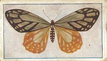 1910 Australian Butterflies and Moths (Names in Lower Case Letters) #7 Papilio agestor Front