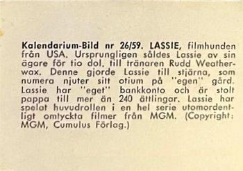 1959-61 Kalendarium-Bild Film Stars (Sweden) #26 Lassie Back