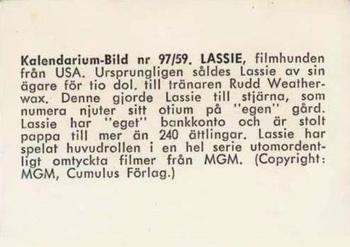 1959-61 Kalendarium-Bild Film Stars (Sweden) #97 Lassie Back