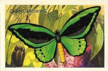 1959 Shell Project Cards; Series 4, Butterflies and Moths #181 Cairns Birdwing Front