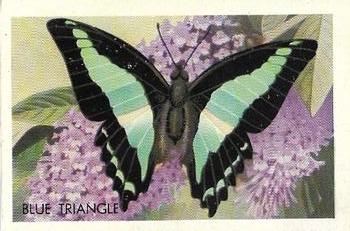 1959 Shell Project Cards; Series 4, Butterflies and Moths #183 Blue Triangle Front