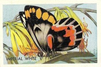1959 Shell Project Cards; Series 4, Butterflies and Moths #185 Imperial White Front