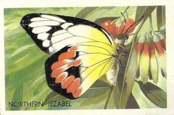 1959 Shell Project Cards; Series 4, Butterflies and Moths #186 Northern Jezabel Front