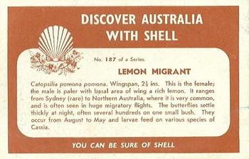 1959 Shell Project Cards; Series 4, Butterflies and Moths #187 Lemon Migrant Back